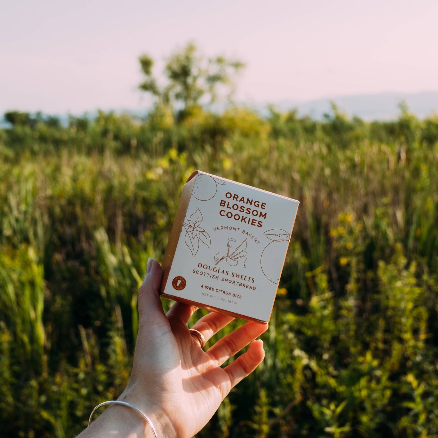 Mini Box: Orange Blossom Shortbread Cookies