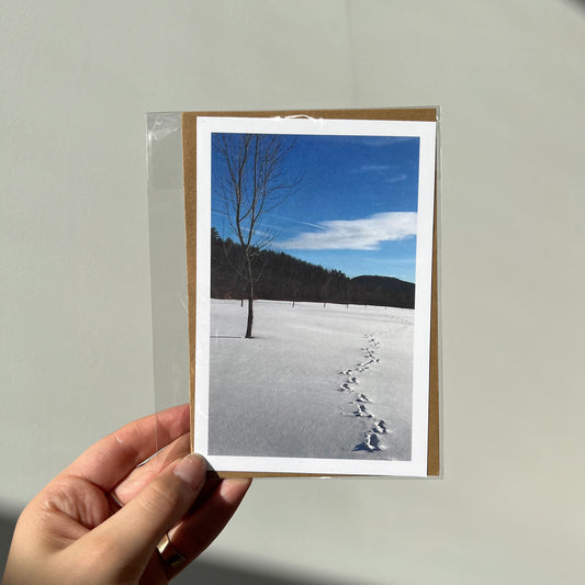 Fresh Tracks Greeting Card